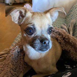 Meet your Posher, Carrie-anne